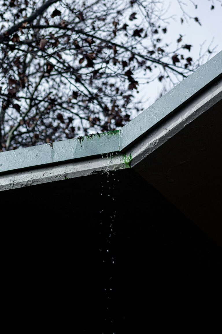 A residential roof with clean gutters and downspouts directing rainwater away from the foundation.